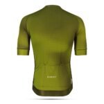 Olive - Image 3